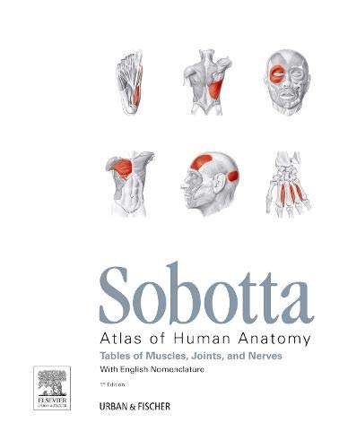 Sobotta Tables of Muscles, Joints and Nerves, English: Tables to 15th ed. of the Sobotta Atlas 1ed