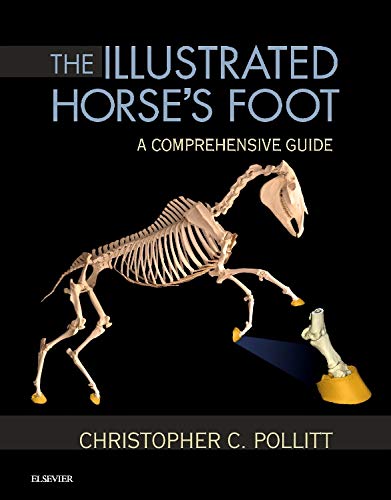 Rheumatology Secrets: 4ed