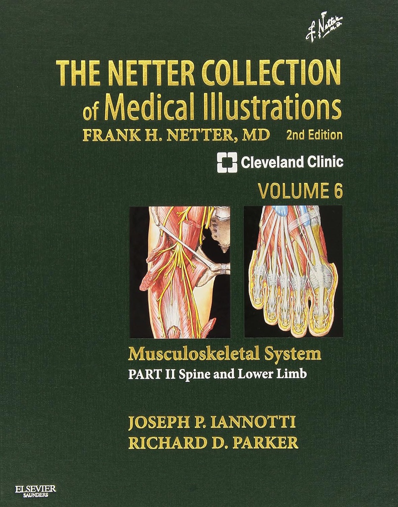 The Netter Collection of Medical Illustrations: Musculoskeletal System, VOL 6, Part II - Spine and Lower Limb: 2ed