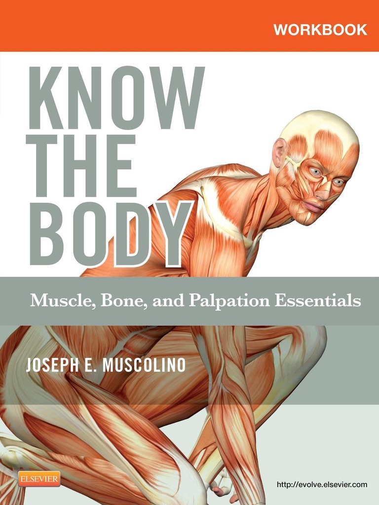 Study Guide for the Core Curriculum for Oncology Nursing: 7ed