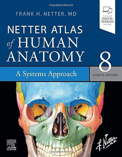 Kinesiology: The Skeletal System and Muscle Function 4ed