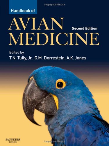 [B9780702028748] Duke Review of MRI Physics: Case Review Series: 2ed