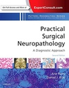 Practical Surgical Neuropathology: A Diagnostic Approach: A VOL in the Pattern Recognition Series 2ed