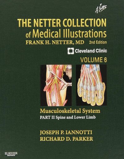 [B9781416063827] The Netter Collection of Medical Illustrations: Musculoskeletal System, VOL 6, Part II - Spine and Lower Limb: 2ed