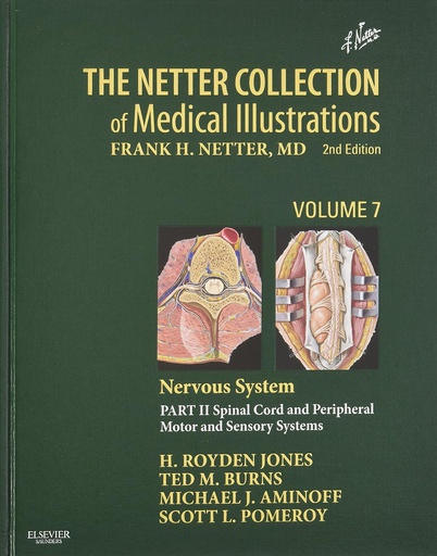 [B9781416063865] The Netter Collection of Medical Illustrations: Nervous System, VOL 7, Part II - Spinal Cord and Peripheral Motor and Sensory Systems: 2ed