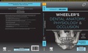 Wheeler's Dental Anatomy, Physiology and Occlusion, 2nd SAE